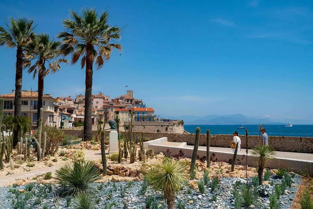 Cosy 3 Pieces Vieil Antibes Proche Port Vauban Apartment